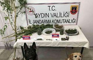 Yakalama kararı olan şüpheli Yenipazar’da yakalandı