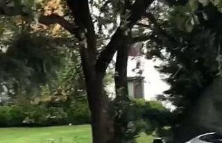 Yalova’da kontrolden çıkan otomobil site bahçesine...