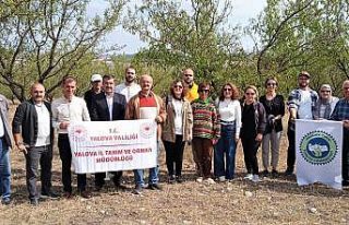 Yalovalı çiftçiler Edirne’ye teknik geziye gitti