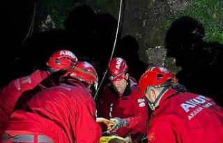 Yamaçtan düştüğü yerde mahsur kalan ineği AKUT...
