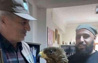 Yaralı Arışahini korumaya alındı