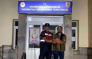 Yaralı atmacaya Jandarma sahip çıktı