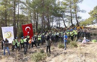 Yatağan, Milas ve Kavaklıdere İşletme Müdürlüklerinin...