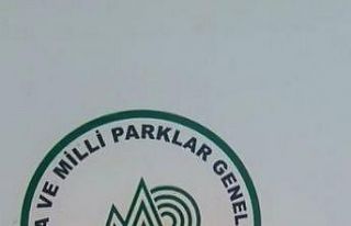 Yavru Sincap koruma altına alındı