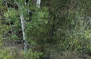 Yayla yolunda araç 20 metrelik uçuruma yuvarlandı:...