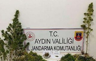 Yenipazar’da uyuşturucu baskını