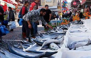 Yer gök palamut: Tanesi 100 TL’den satılıyordu...