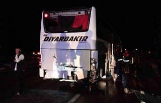 Yola çıkan at kazaya neden oldu, bir otomobil ve...