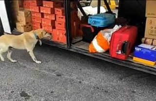Yolcu otobüsünde 12 kilo uyuşturucu ele geçirildi
