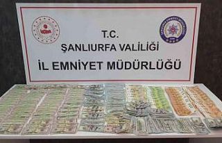 Yüklü miktarda dövizle yakalanan şahısların...