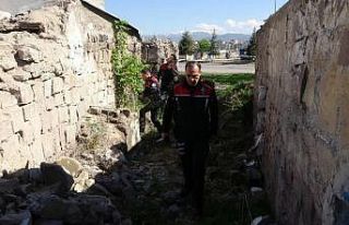 Yunuslar 1 ayda 12 bin 384 kişiyi sorguladı