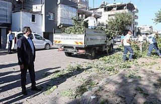Yüreğir’de temizlik çalışması