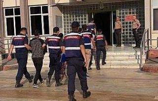 Zeytin fabrikasından hırsızlık yapan şahıslar...