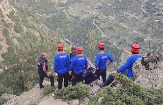 Zeytin toplarken uçuruma yuvarlanan yaşlı adam...