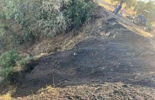 Zeytinlik alanda çıkan yangın büyümeden söndürüldü