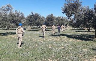 Zeytinliklere komando koruması