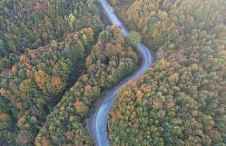Zonguldak ormanlarında sonbahar güzelliği havadan...