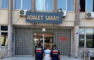 10 yıl hapis cezası ile aranıyordu, Jandarma yakaladı
