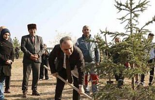 11 Kasım Milli Ağaçlandırma Günü’nde fidanlar...