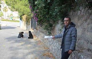 18 yaşında hayatını kaybeden Berfin’in ailesi,...