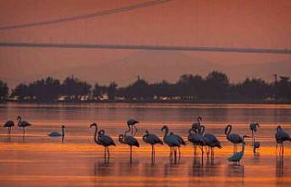 1915 Çanakkale Köprüsü’nde kartpostallık fotoğraflar