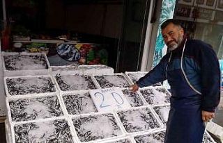 20 Liraya düşen hamsi kapış kapış gitti