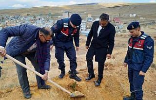 24 Kasım Öğretmenler Günü hatırasına fidanlar...