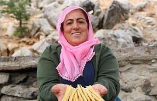 25 yıldır mum satarak evini geçindiriyor