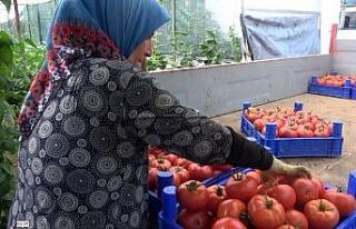 2 bin 500 nüfuslu köyün yüzde 90’ı tarımla...