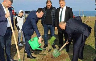 300 fıstık çamı toprakla buluştu