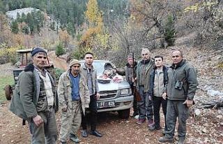 Adana’da yaban keçisi vuran iki kişiye 250 bin...