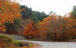 Adana’nın saklı cenneti Belemedik renk cümbüşüne...