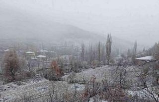 Adana’ya sezonun ilk karı yağdı