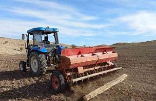 Afyonkarahisar’da buğday ve arpa ekim sezonu sone...