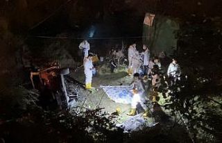 Ağaçlık alana uçan otomobil alev alev yandı:...