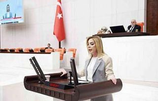 AK Partili Gökcan: "Türk basınının özgürlükçü...