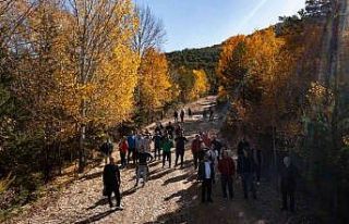 Akdağmadeni ormanlarında öğretmenler doğa yürüyüşü...
