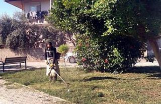 Akdeniz’de park ve yeşil alanlar elden geçiriliyor