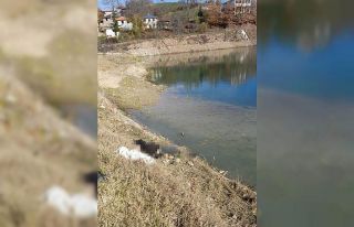 Alzheimer hastası yaşlı adamın cesedi gölette...