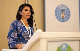 Anadolu Propolisi’nin ağız içi yaralarına etkisi