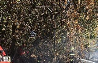 Anız yangını büyümeden söndürüldü