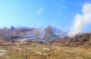 Anız yangını ormana sıçramadan söndürüldü