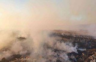 Anız yangınında 100 dönüm arazi kül oldu