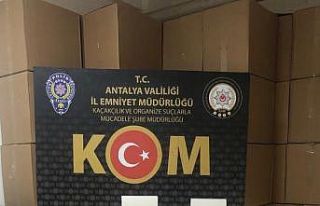 Antalya’da kaçak tütün satanlara büyük darbe