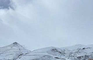 Anzer Yaylasında kartpostallık görüntüler