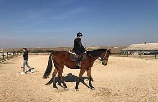 Ara tatili at üstünde geçirdiler