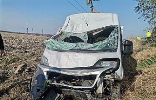 Araç kullanırken köpeği üzerine atladı, kamyonet...