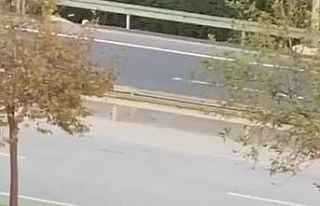 Araçları durdurup sopalarla birbirlerine saldırdılar