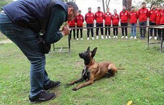 Arama kurtarma köpekleriyle uygulamalı eğitim veren...