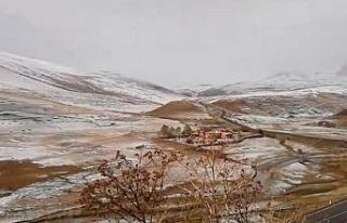 Ardahan’ın yüksek kesimlerinde kar yağışı...